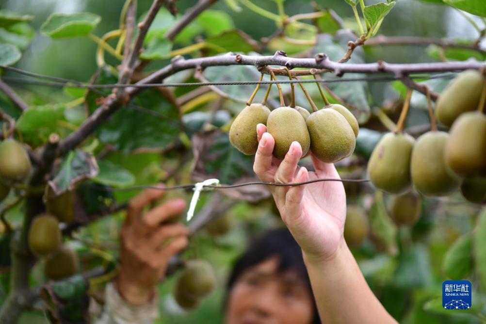 u乐平台登录网址